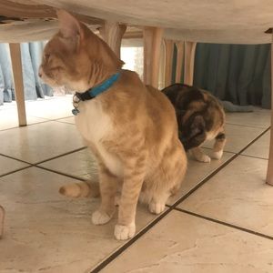 Meet your Posher, Jade